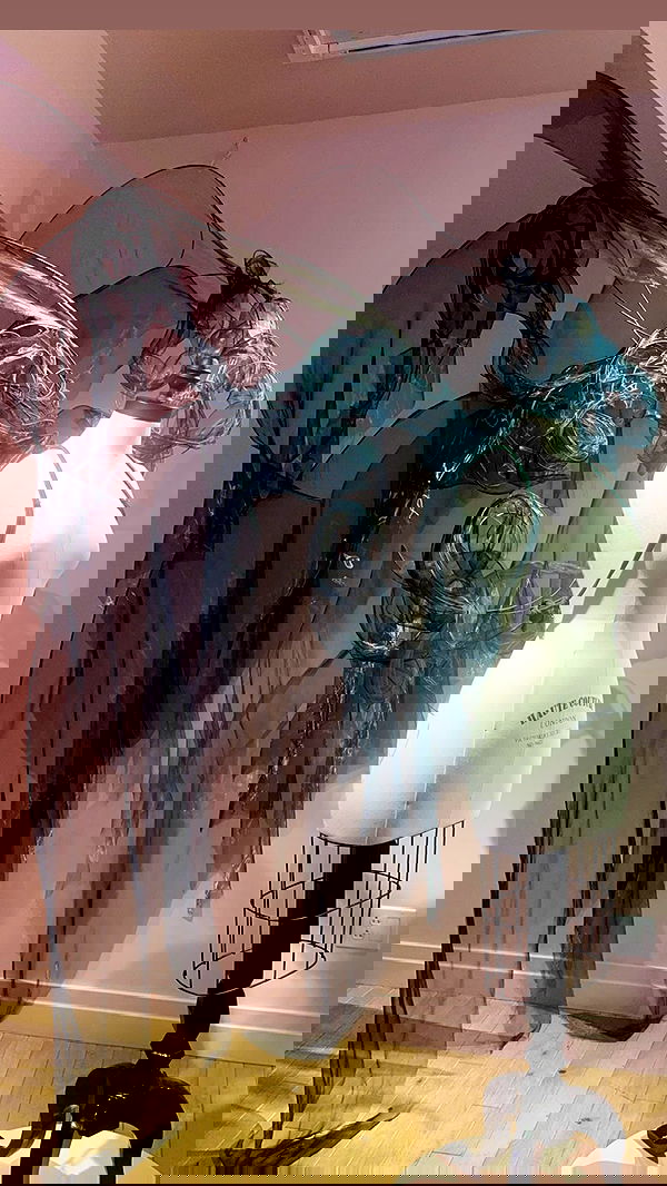 juliaelzz juliaelzz archive image