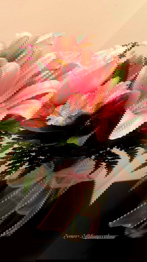 juliaelzz juliaelzz archive image