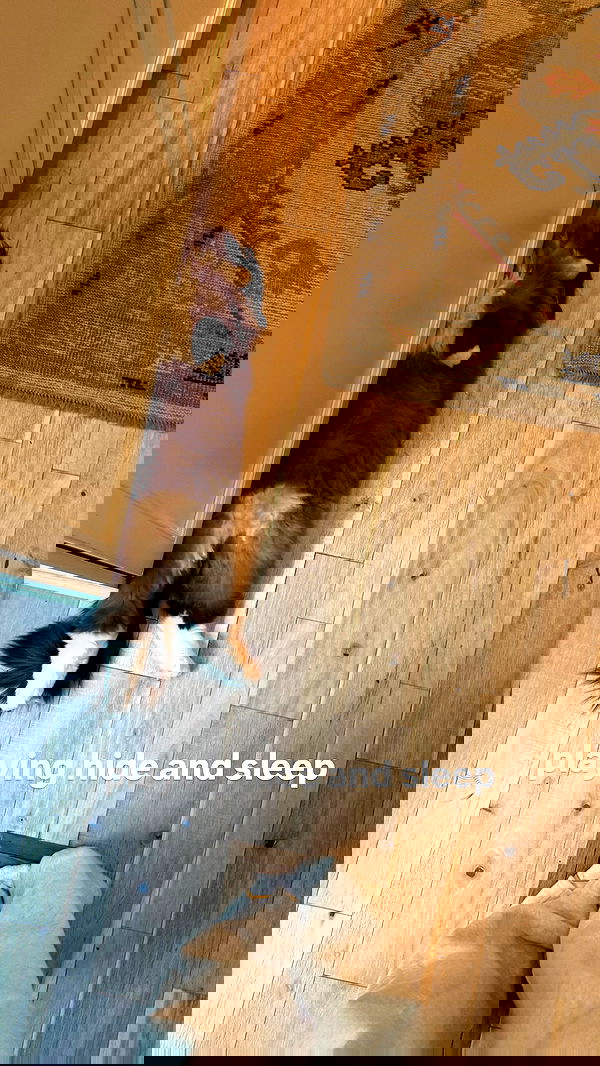 juliaernst juliaernst archive image