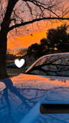 juneeberri Altpins Profile Picture