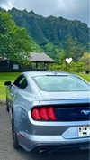 juneeberri Altpins Profile Picture