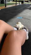 just_lironi Altpins Profile Picture
