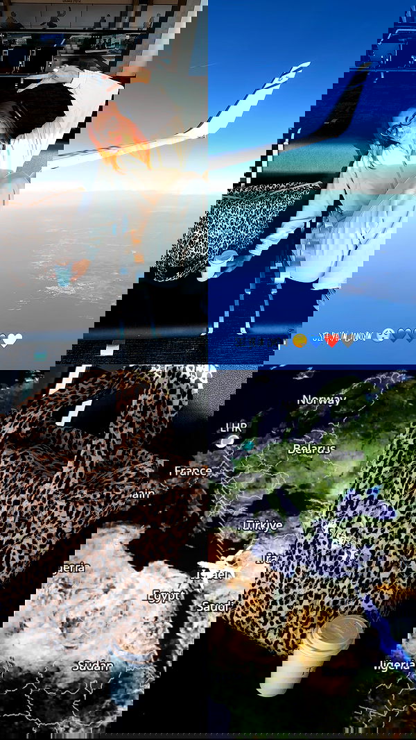 justlerman image ~ Altpins