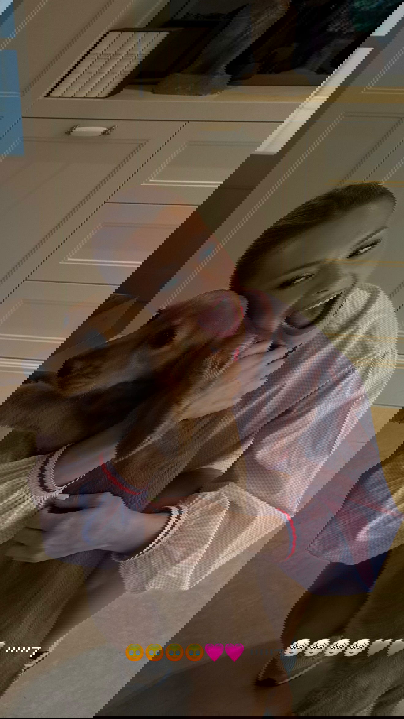 justlerman instagram image archive image