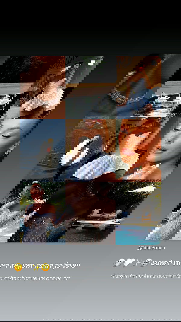 justlerman image ~ Altpins