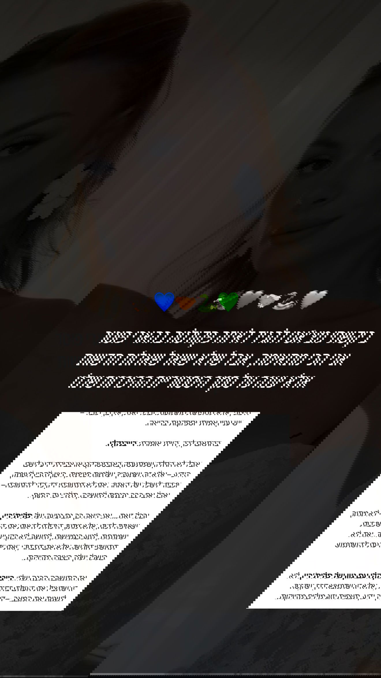 justlerman instagram image archive image