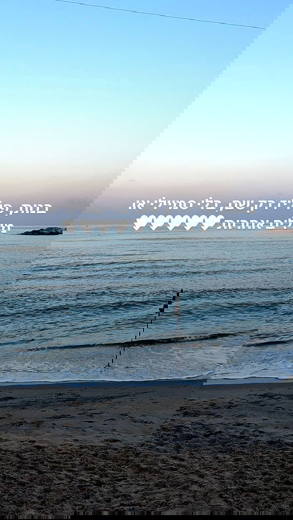 justlerman image ~ Altpins