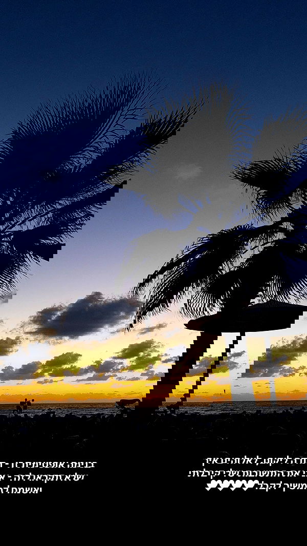 justlerman image ~ Altpins