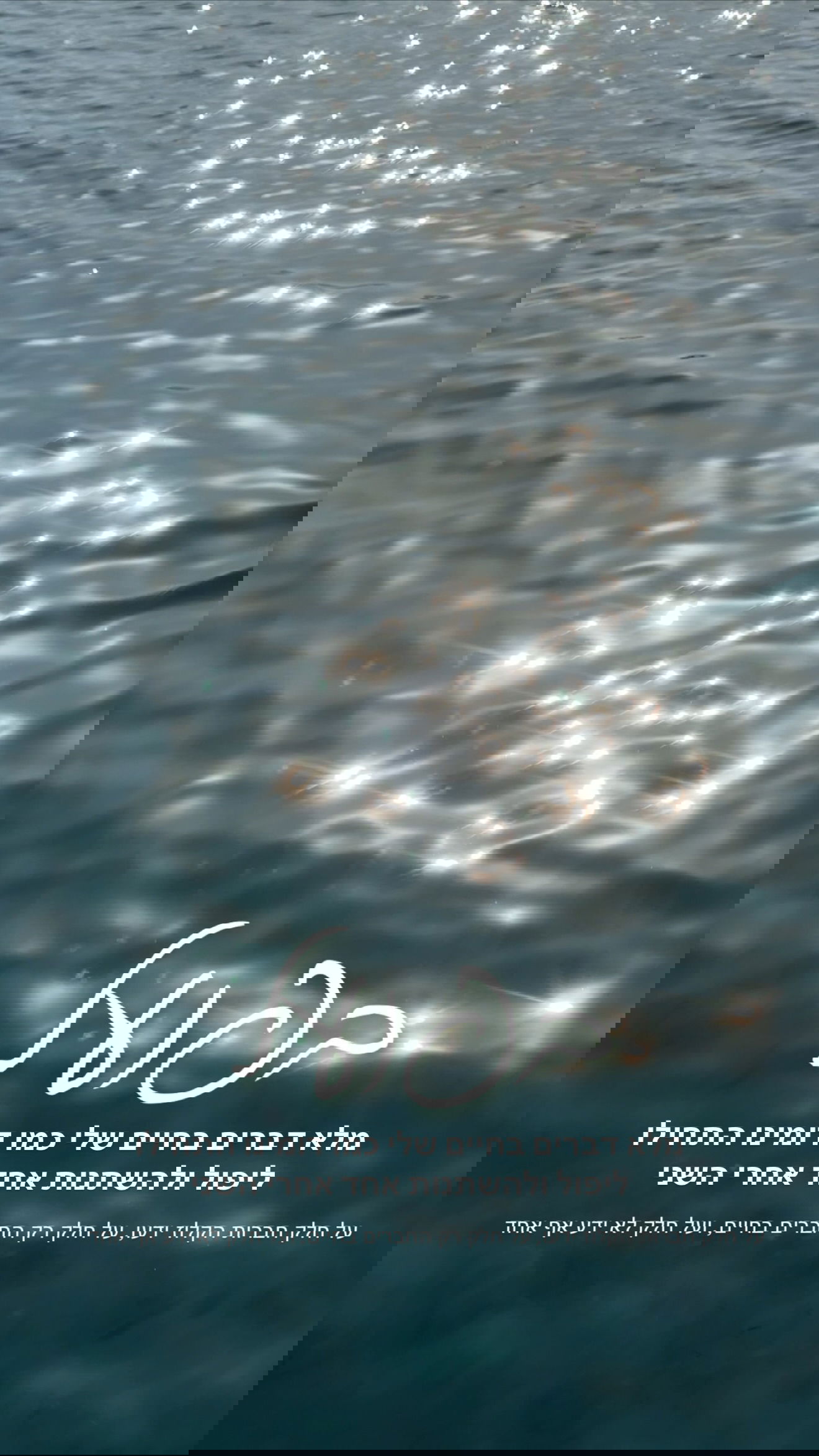 justlerman instagram image archive image