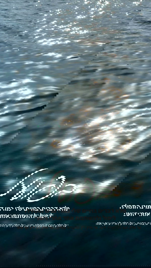 justlerman image ~ Altpins