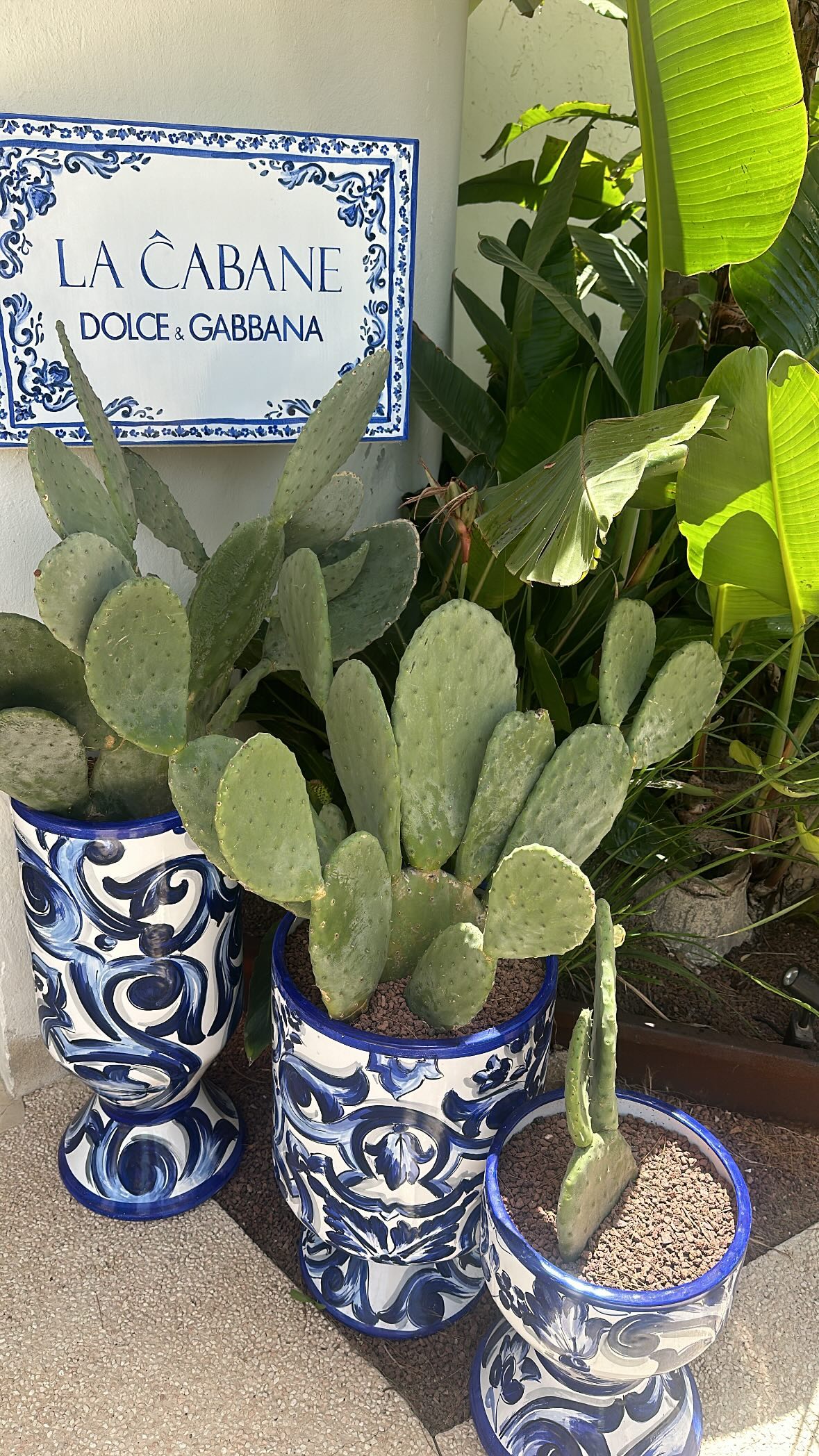 kaciiimae instagram image archive image