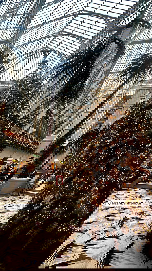 kaciiimae image ~ Altpins