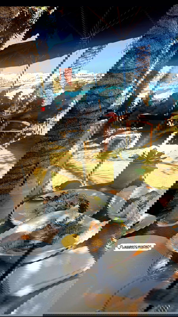 kaciiimae image ~ Altpins