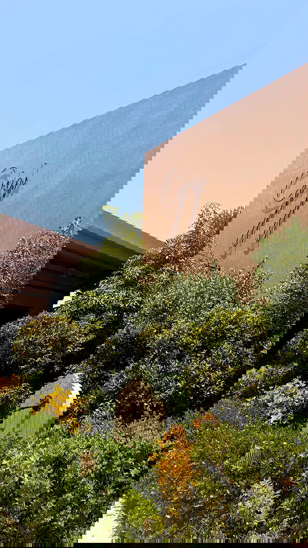 kaciiimae image ~ Altpins