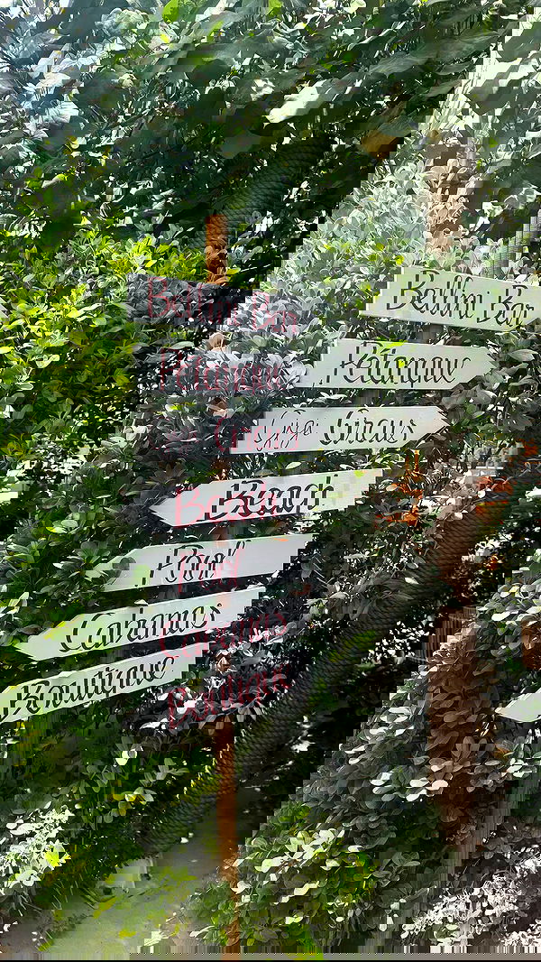 kaciiimae image ~ Altpins