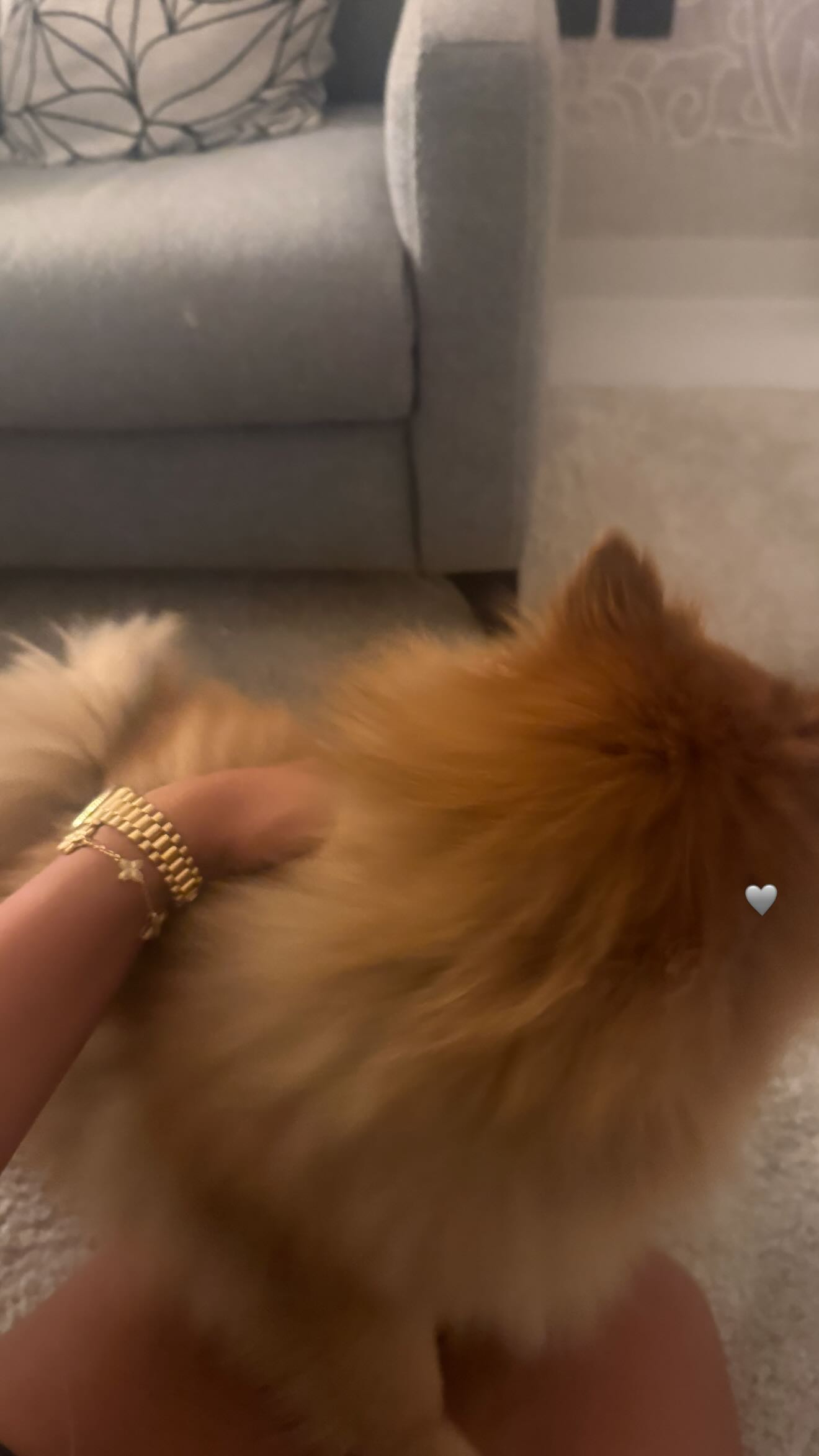 kaciiimae instagram image archive image