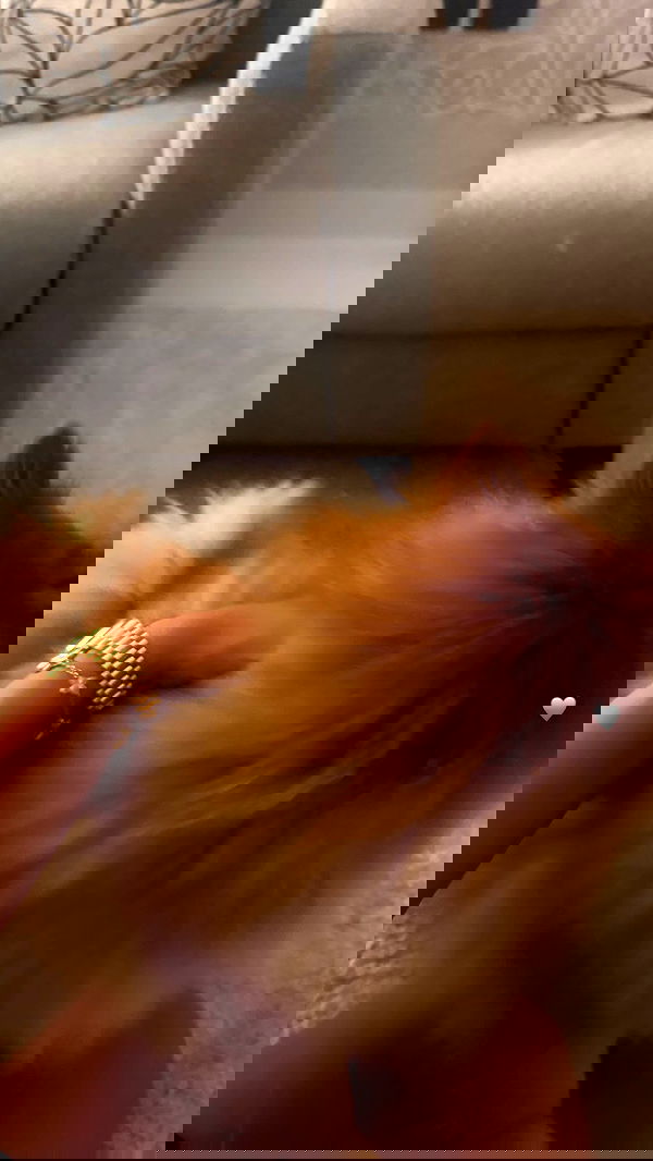 kaciiimae image ~ Altpins