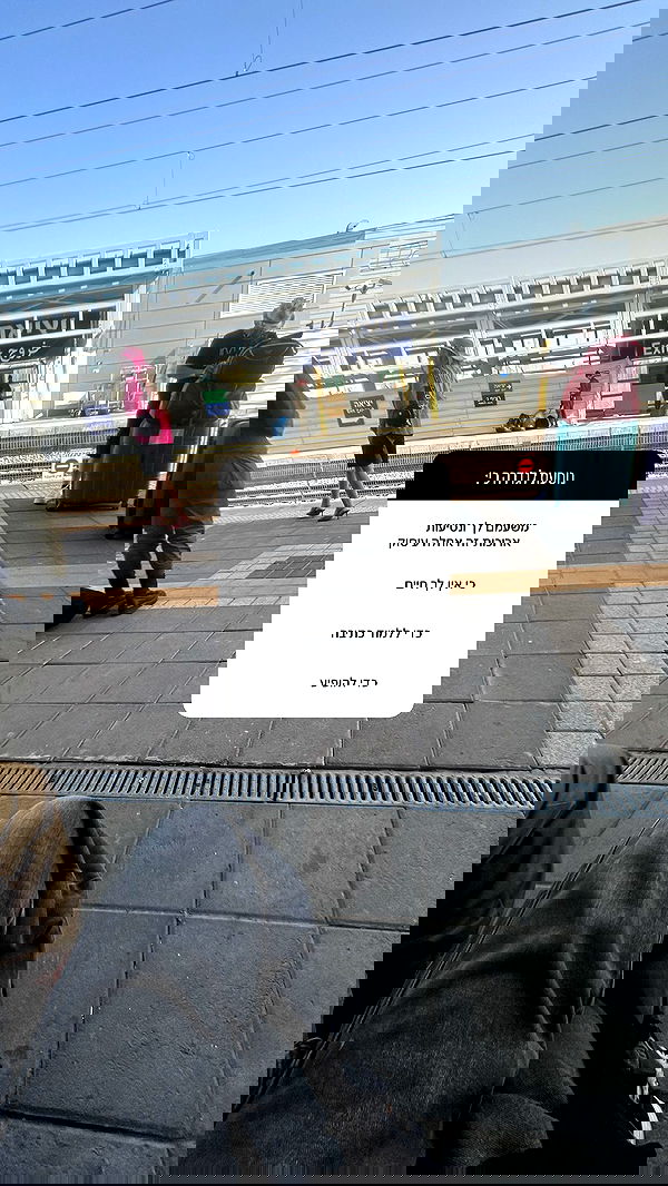 kaliamorcita image ~ Altpins