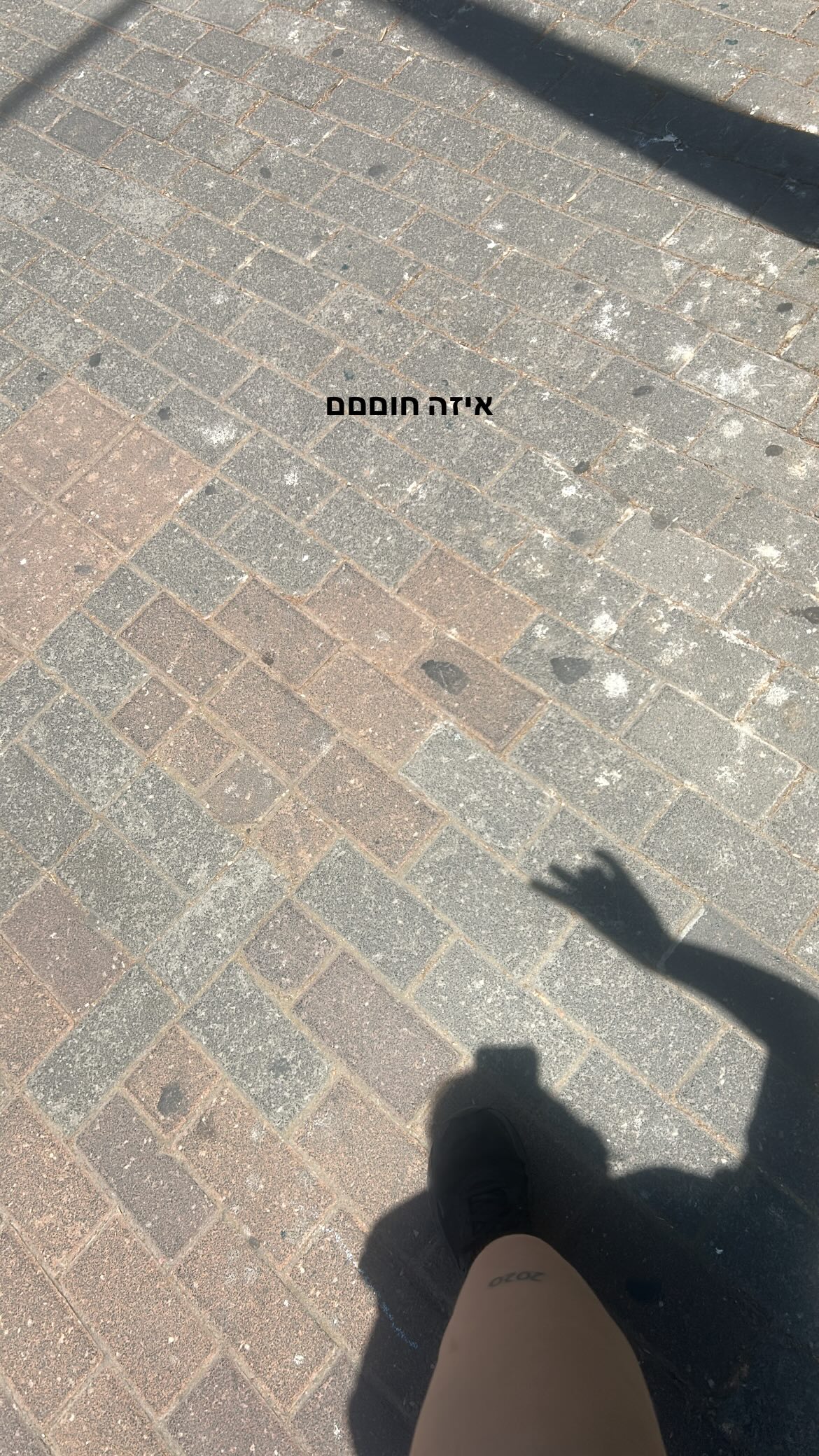 kaliamorcita instagram image archive image