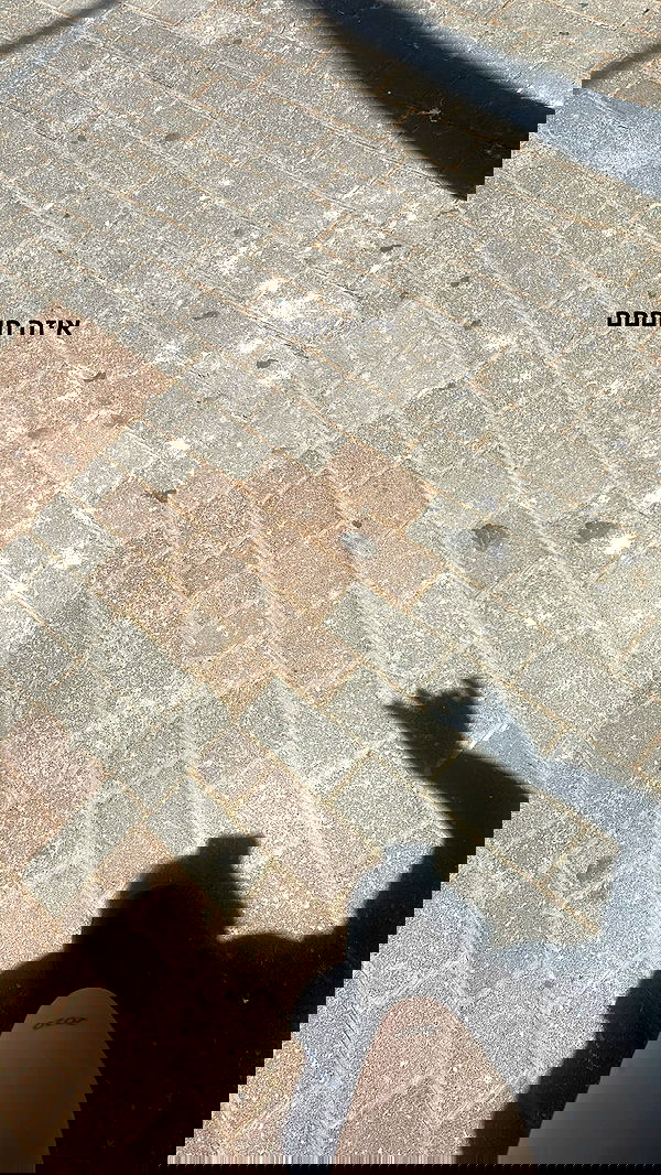 kaliamorcita image ~ Altpins