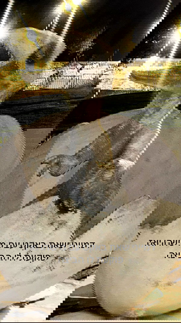 kaliamorcita image ~ Altpins