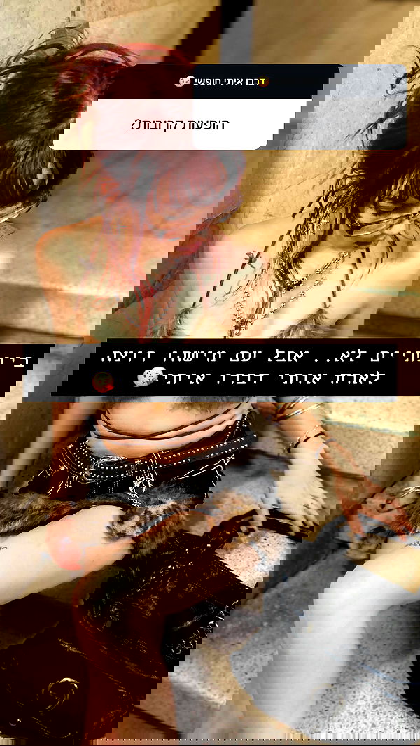 kaliamorcita image ~ Altpins