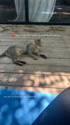 karin_orhov Altpins Profile Picture