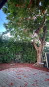 karin_orhov Altpins Profile Picture