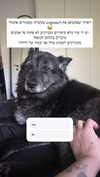 karin_orhov Altpins Profile Picture