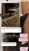 karin_orhov Altpins Profile Picture