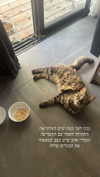 karin_orhov Altpins Profile Picture