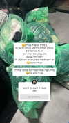 karin_orhov Altpins Profile Picture