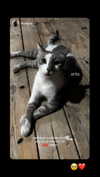 karin_orhov Altpins Profile Picture