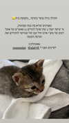 karin_orhov Altpins Profile Picture