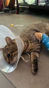 karin_orhov Altpins Profile Picture