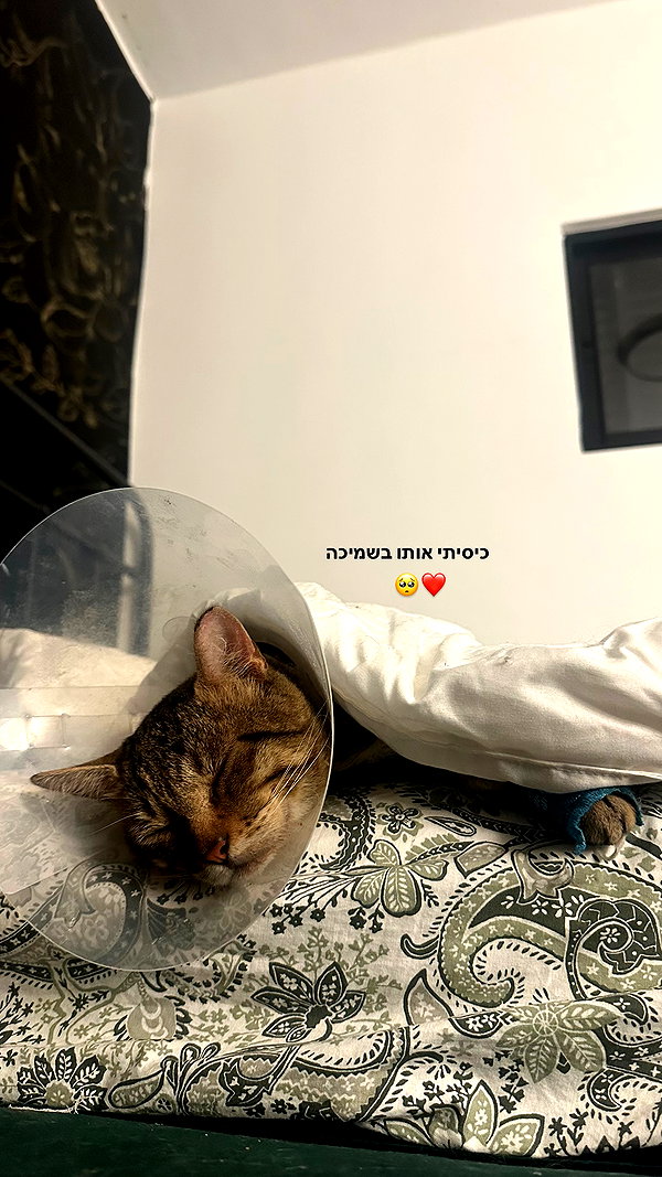 karin_orhov instagram image archive image