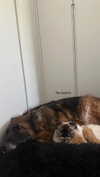 karin_orhov Altpins Profile Picture