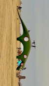 karin_polonsky Altpins Profile Picture