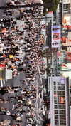 karin_polonsky Altpins Profile Picture