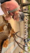 karin_polonsky Altpins Profile Picture