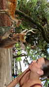 karin_polonsky Altpins Profile Picture