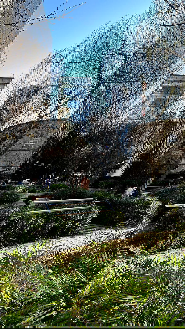 kasumi_sen image ~ Altpins