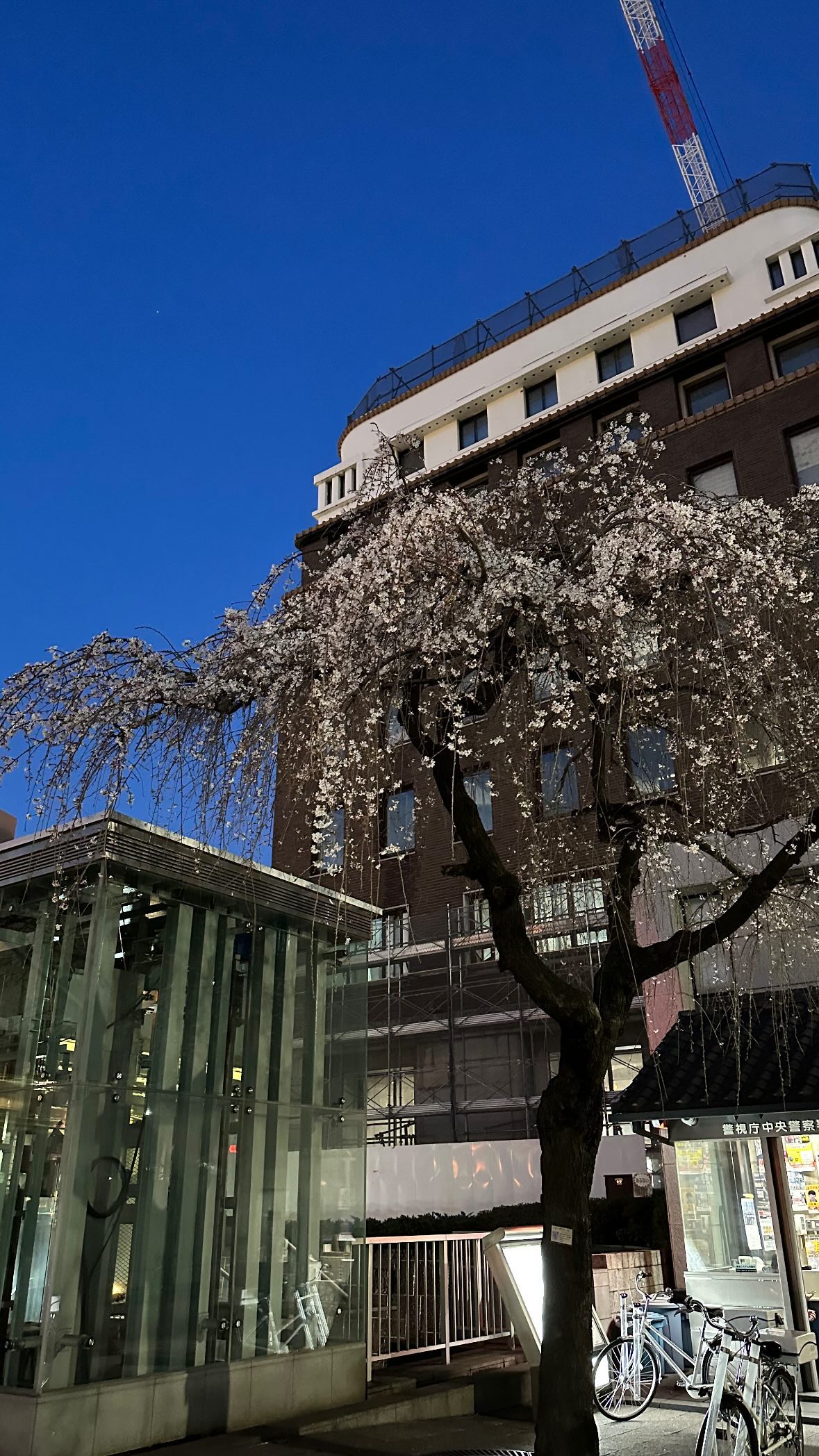 kasumi_sen instagram image archive image