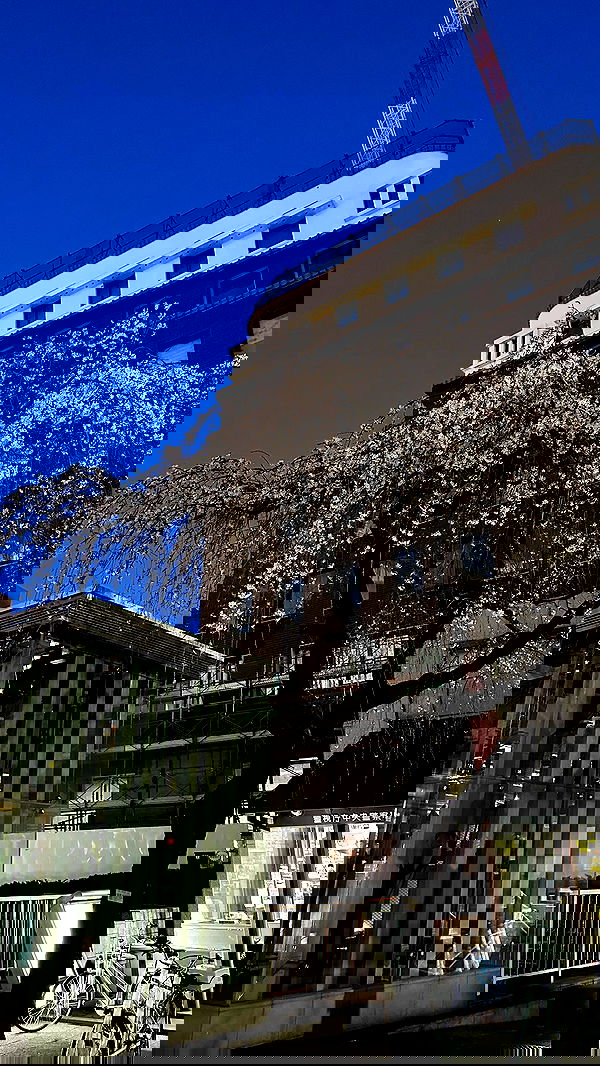 kasumi_sen image ~ Altpins