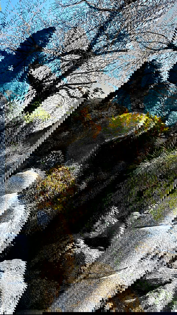 kasumi_sen image ~ Altpins