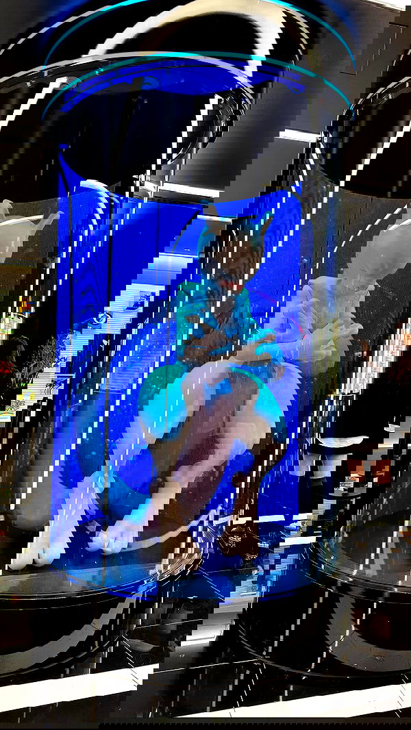 kasumi_sen image ~ Altpins