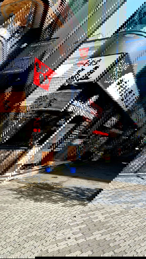 kasumi_sen image ~ Altpins