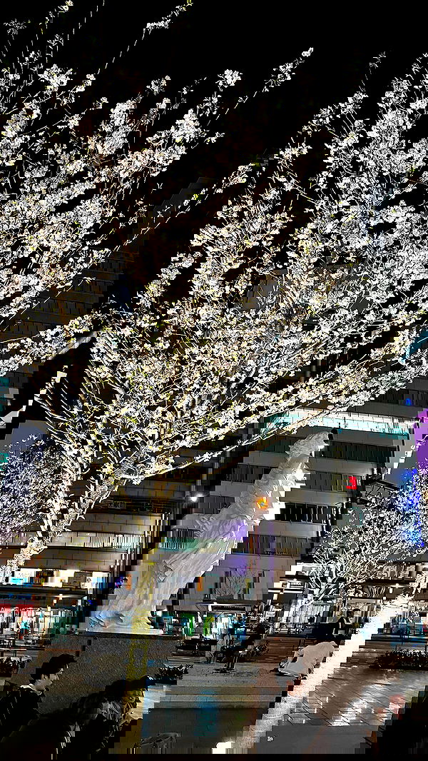 kasumi_sen image ~ Altpins