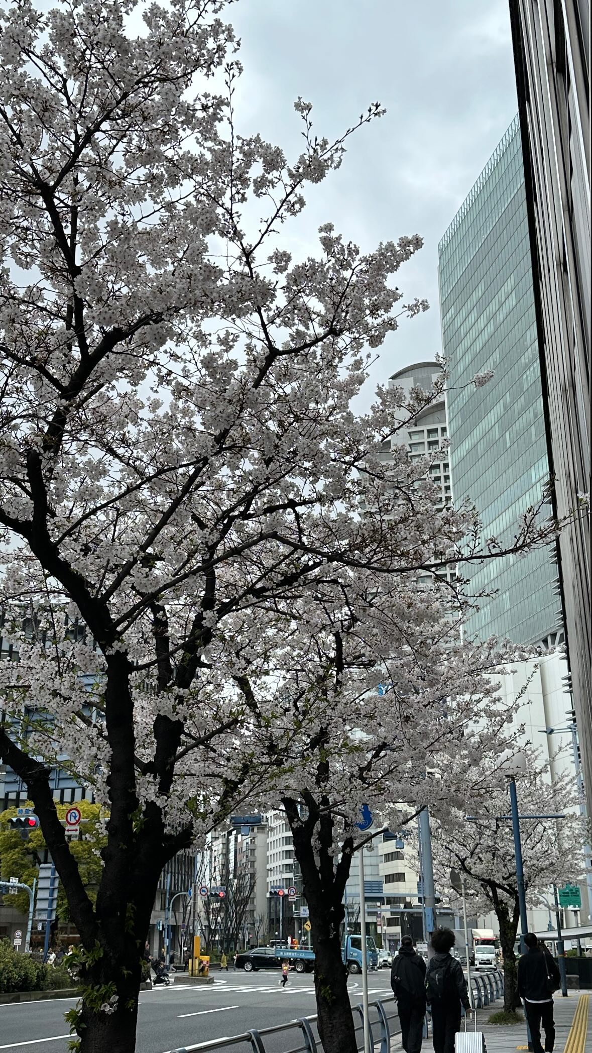 kasumi_sen instagram image archive image