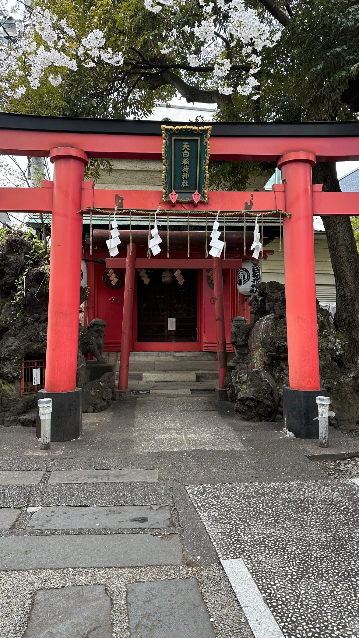 kasumi_sen instagram image archive image